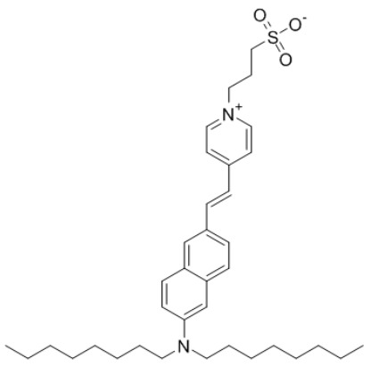 Di-8-ANEPPS 
