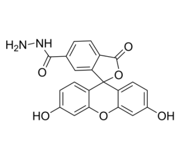 FAM hydrazide, 6-isomer 