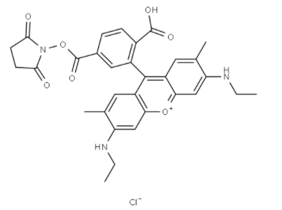 6-罗丹明6G-NHS 活化酯 