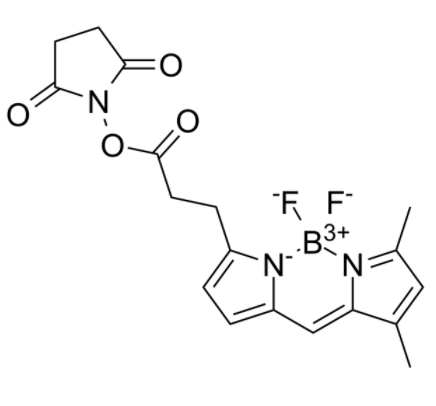 BDP FL NHS Ester 