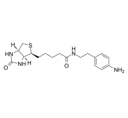 Biotin-aniline 
