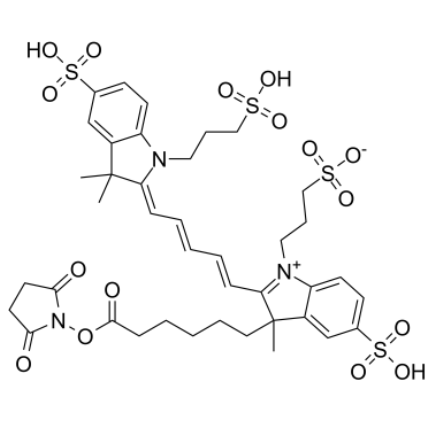 AF647-NHS ester 