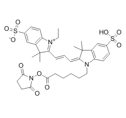 Cyanine 3, SE 