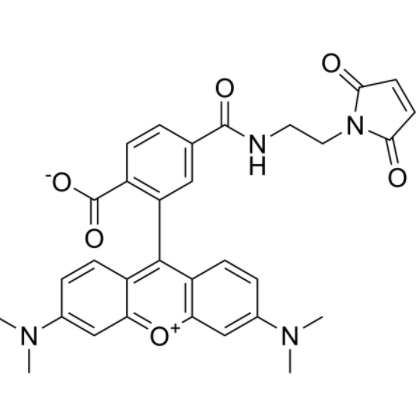 6-TAMRA maleimide 