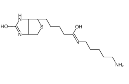 生物素-C5-胺 