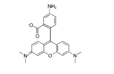 80724-17-0，5-Aminotetramethylrhodamine