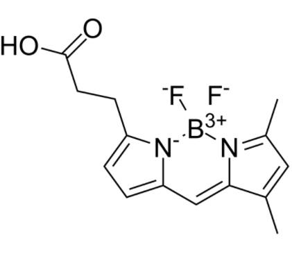 3-Bodipy-propanoic Acid 