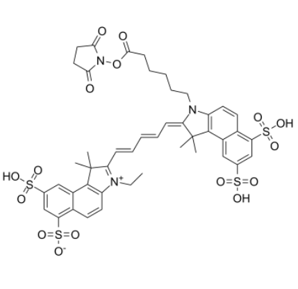 Cy5.5-N-羟基琥珀酰亚胺酯 