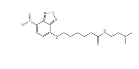 Lysotracker Yellow HCK-123