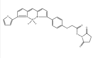 BDP TR NHS Ester