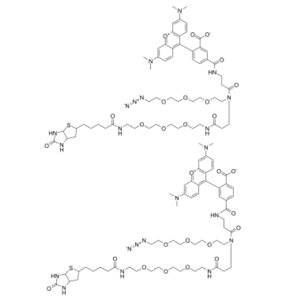 TAMRA-Azide-PEG-Biotin 