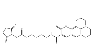 Coumarin 343 X NHS ester