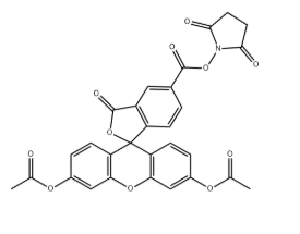 5-diacetate FAM NHS 5-diacetate FAM NHS