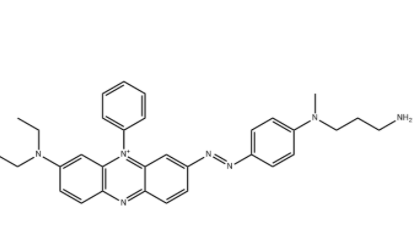 BHQ-3 氨基  BHQ-3 氨基