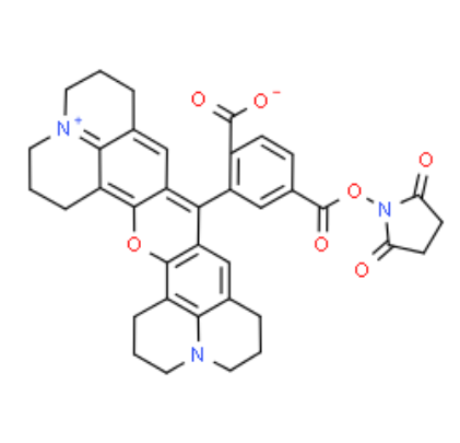 6-ROX NHS 活化酯 