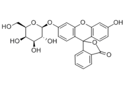 Fluorescein β-D-galactopyranoside