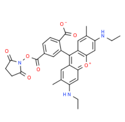 6-CARBOXYRHODAMINE 6G, SUCCINIMIDYL ESTER 