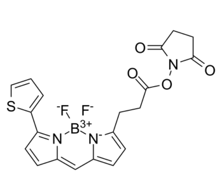 BDP 558/568 NHS ester BDP 558/568 NHS ester