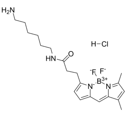 1756796857861588.png image.png