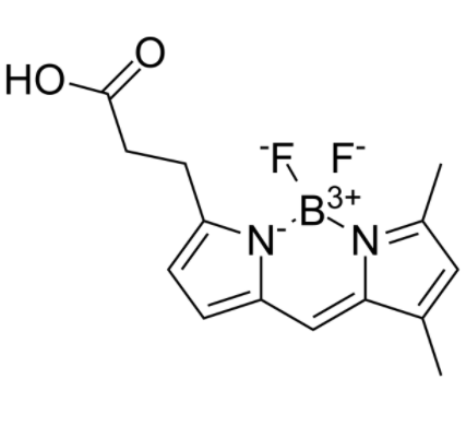 3-Bodipy-propanoic Acid 