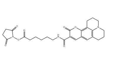 AF 343(Coumarin)X NHS ester