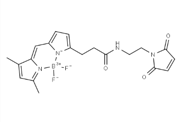 BDP FL Maleimide