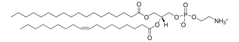 18:0-18:1 PE ，CAS:6418-95-7，1-硬脂酰-2-油酰-sn-甘油-3-磷酸乙醇胺