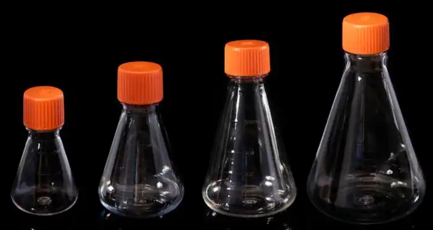 Annexin V Biotin