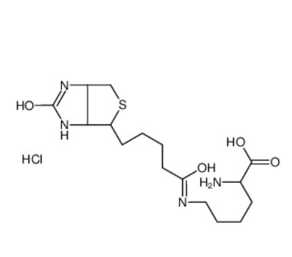 Nε-Biotinyl-L-lysine 