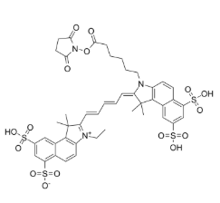 Sulfo-Cy5.5-E 琥珀酰亚胺酯