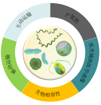药物递送系统