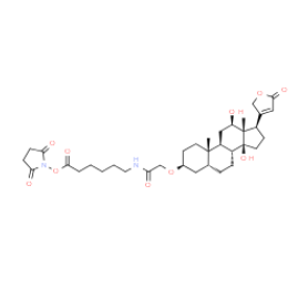 Digoxigenin NHS ester