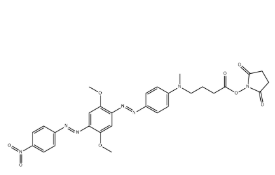 BHQ-2琥珀酰亚胺酯