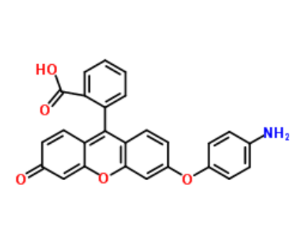 Aminophenyl Fluorescein 