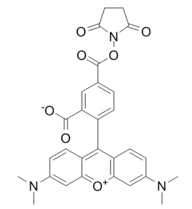 5-羧基四甲基罗丹明琥珀酰亚胺酯 