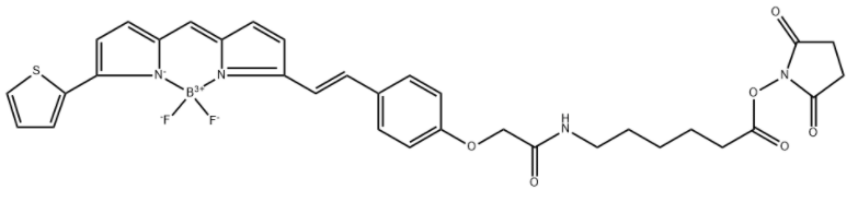 BDP 630/650 X NHS ester  BDP 630/650 X NHS ester