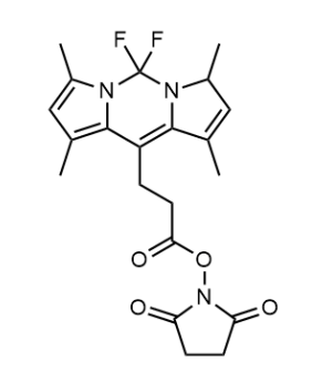 BODIPY 493/503 SE BODIPY 493/503 SE