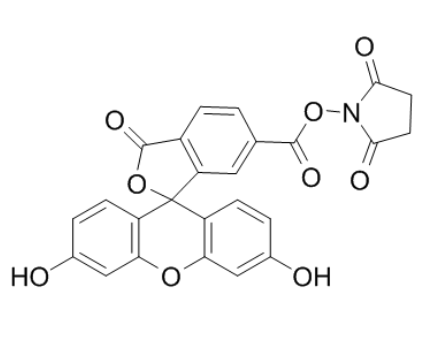 6-羧基荧光素琥珀酰亚胺酯 