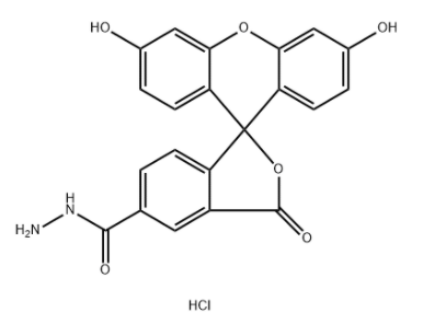 5-FAM hydrazide HCl 