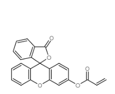 荧光素邻丙烯酸