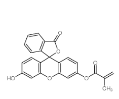 Fitc-methacrylate
