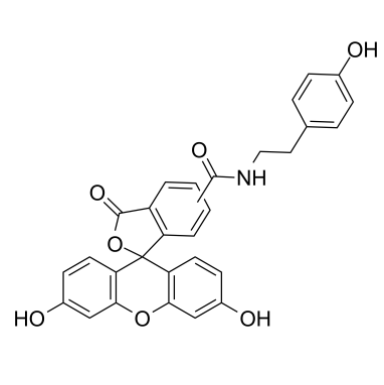 Fluorescein Tyramide