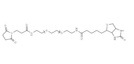 Biotin PEG11 amido Maleimide Biotin PEG11 amido Maleimide