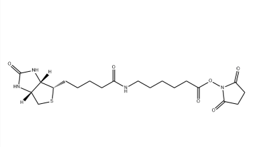 72040-63-2 72040-63-2