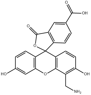 4'-AminoMethyl-6-FAM