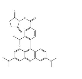 TAMRA Succinimidyl Ester