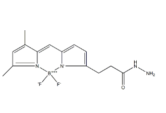 BDP FL hydrazide BDP FL hydrazide