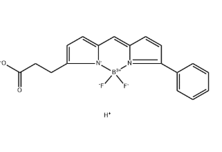 BODIPY R6G acid BODIPY R6G acid