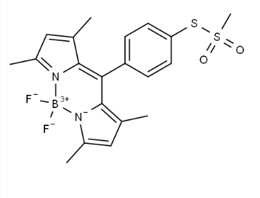 BODIPY-TS，硼二吡咯-TS