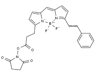 BODIPY 564/570 NHS ester BODIPY 564/570 NHS ester